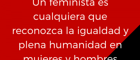 Un feminista es cualquiera que reconozca la igualdad y plena humanidad en mujeres y hombres